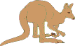 kenguru
