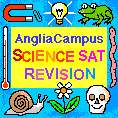 SATs revision