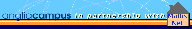 AngliaCampus working with Mathsnet